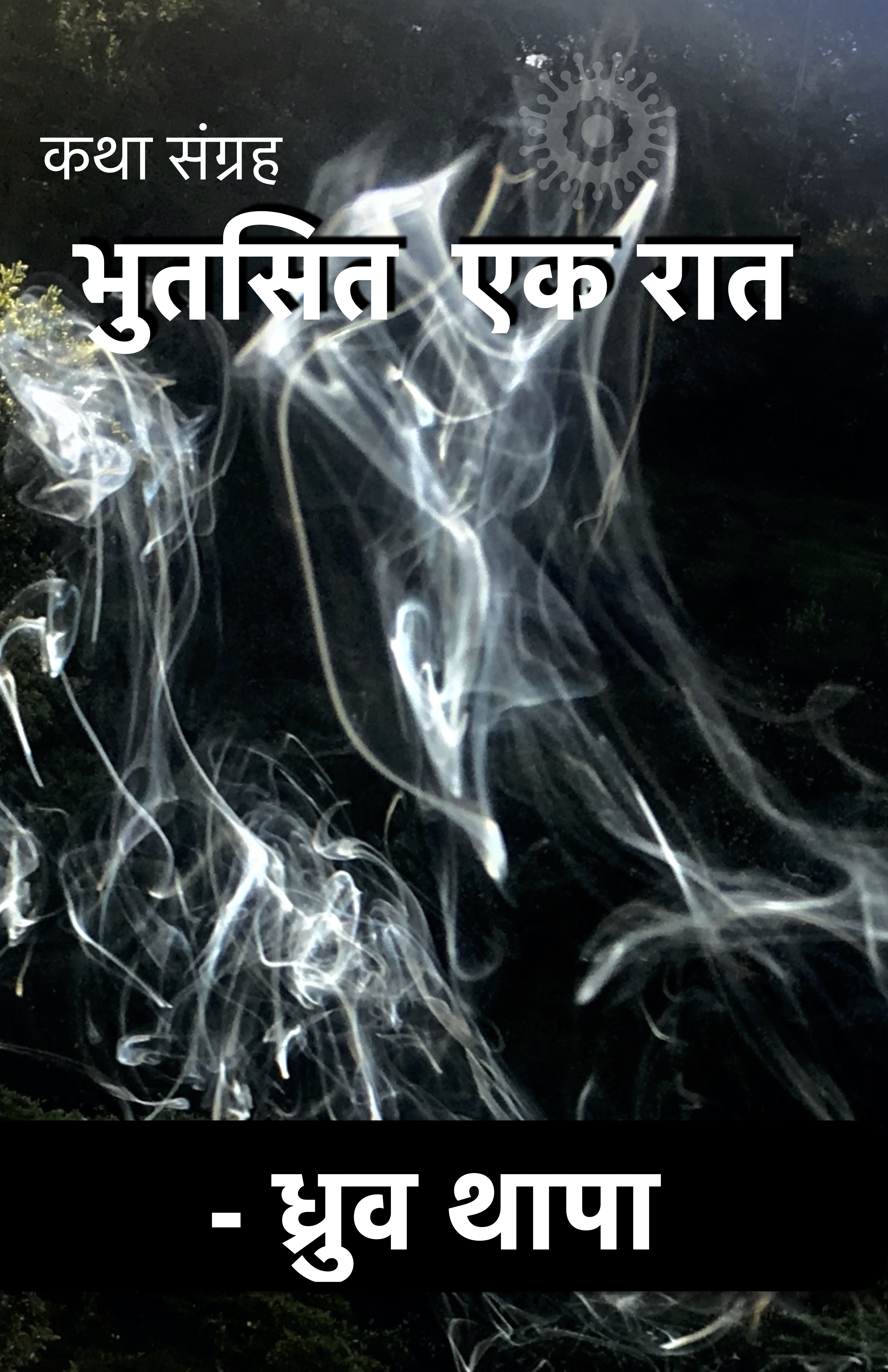 Book: भुतसित  एक रात