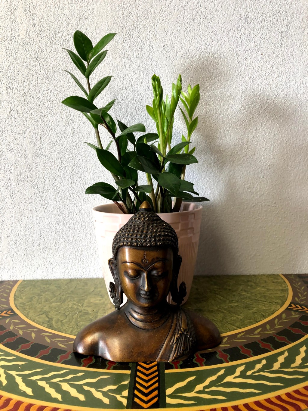 जीवनको मूल्य !