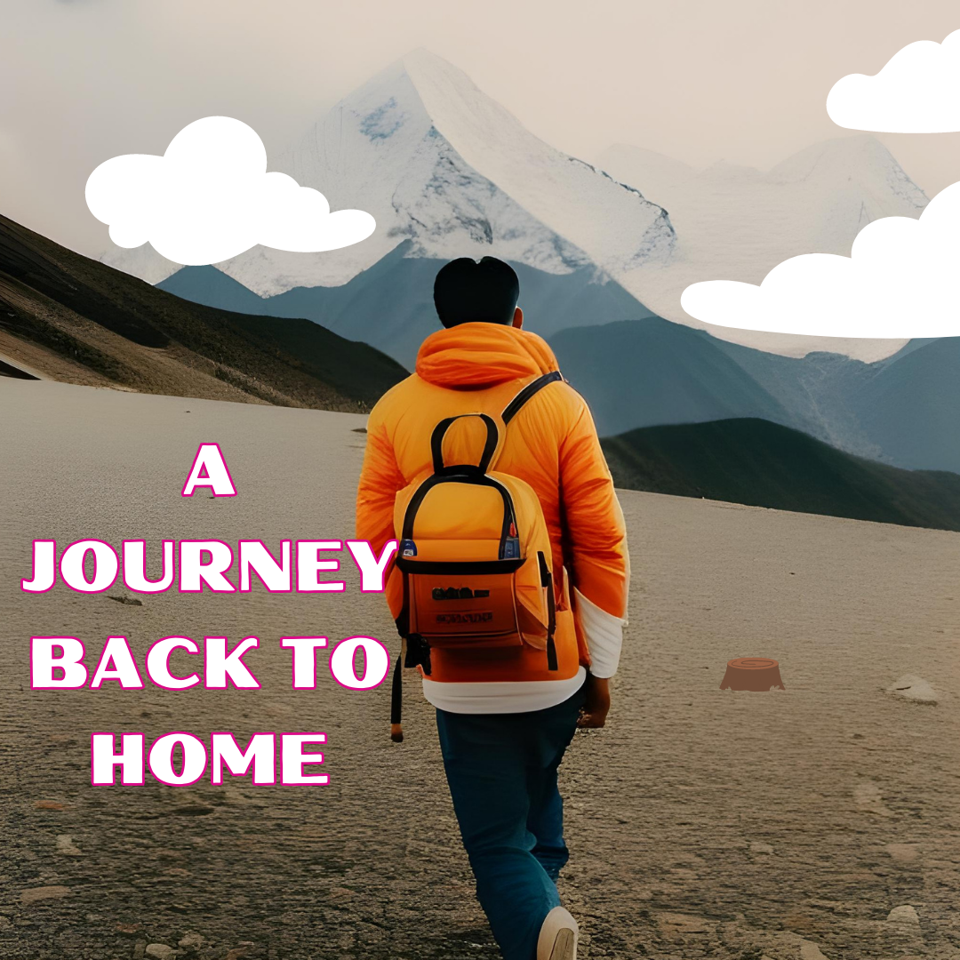 The Journey Back Home