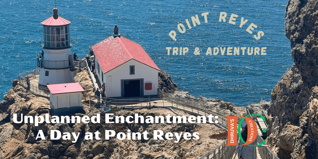 “Unplanned Enchantment: A Day at Point&nbsp;Reyes”