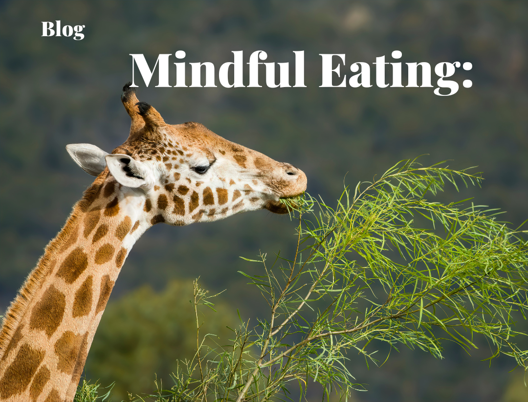 Mindfulness and Meditation for Beginners: Embracing Stillness”